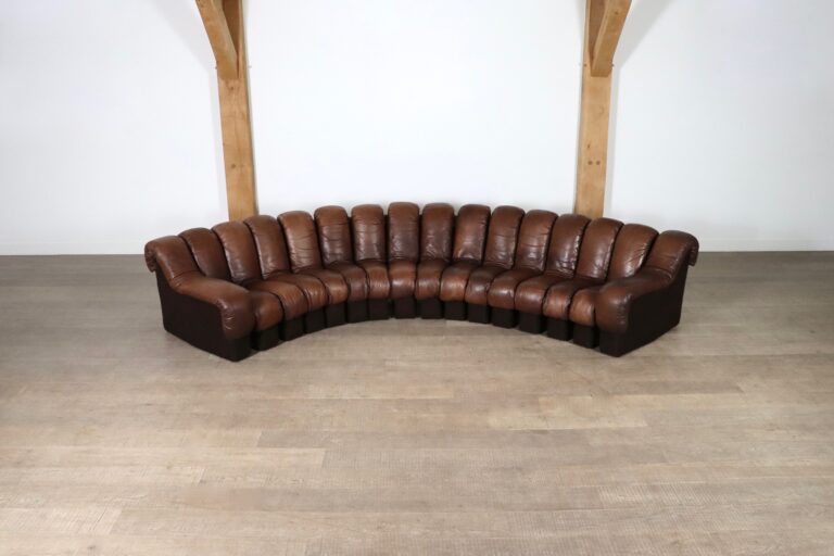 De Sede DS 600 “Non-Stop” sectional Brown leather sofa by Heinz Ulrich, Ueli Berger and Eleonore Peduzzi-Riva, 1970s